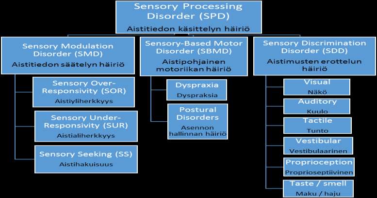 Sensorisen integraation toimintahäiriön ilmeneminen. Yksinkertaistettu kuvio Ayresin mukaan. (Bundy & Murray 2002.