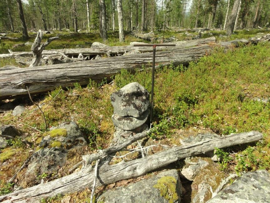 Hieman jäkälöitynyt.