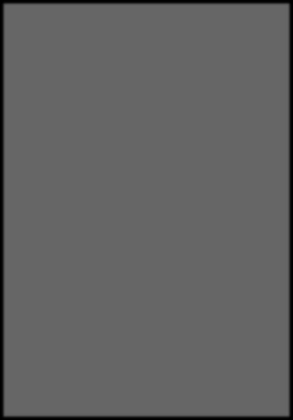 Puolikas sivu Koko 254 x 180 mm Netto 9 262 (brutto 15 437 ) Hesari