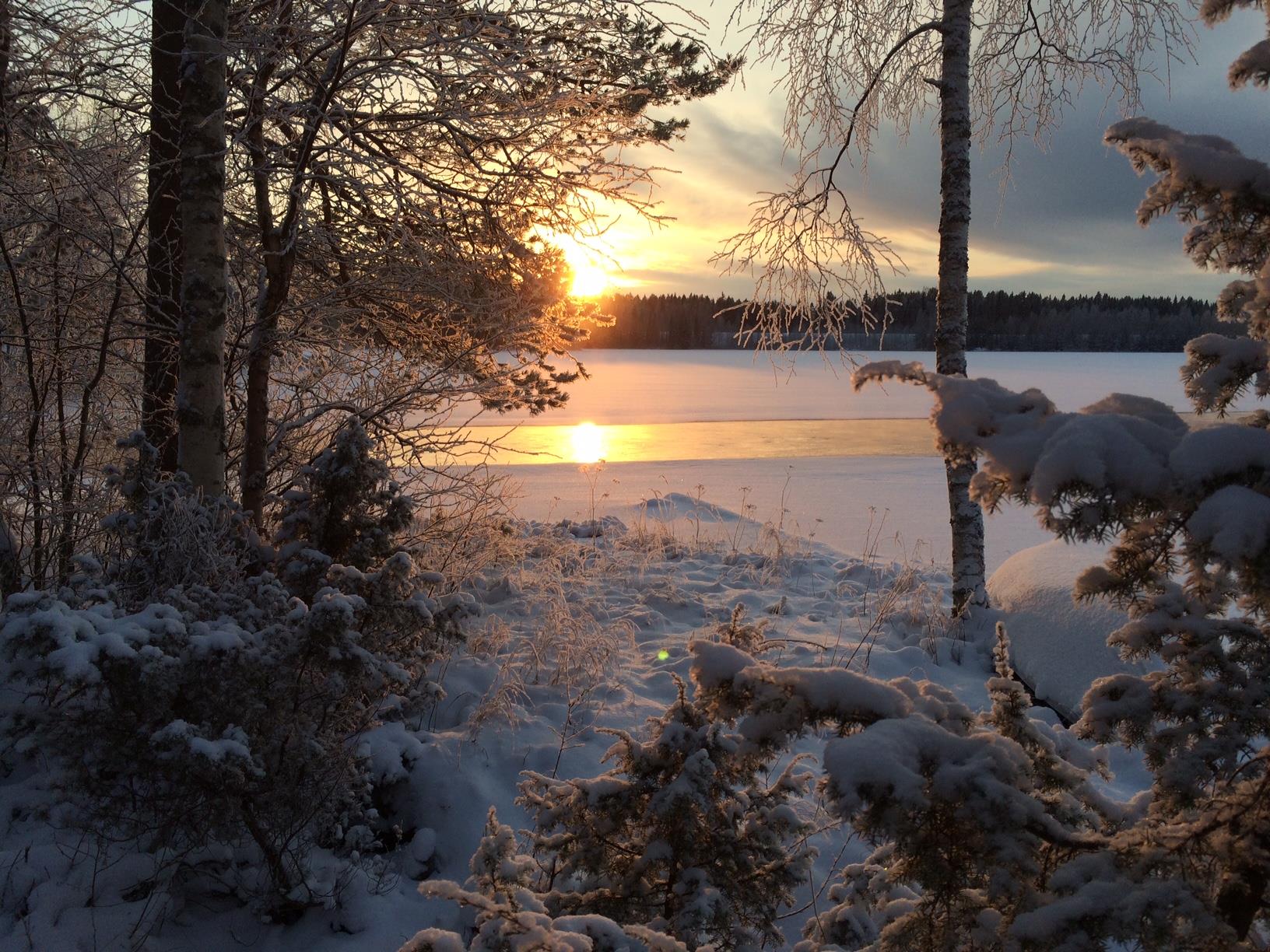 Luontomaisema edistää terveyttä ja vähentää