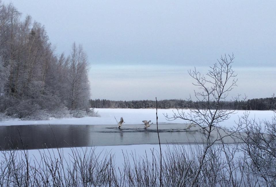 Työnilonjulistus 2016 http://www.uta.fi/jkk/synergos/tyohyvinvointi/tyonilo.html Julistettakoon työn tekemisen iloa ja rauhaa koko Suomeen. Toiveikkuudelle on hyvä perusta, ihmiset.