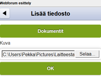 Yhteenveto sisältää ensisijaisesti tapauksen sisältöön liittyviä kenttiä, Kategoriat sen sijaan erilaiset muuttuvat kentät, ja Lisätiedot lähinnä suunnitteluun liittyvää tietoa.