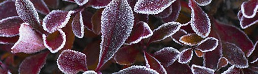 38 Liite 7. KUTSU iltapäiväseminaariin 1.12.2011 Käyttäjälähtöiset palvelut ja niiden tulevaisuuden liiketoimintamahdollisuudet erityisryhmille Aika: Torstai 1.12.2011 klo 12.30-16.