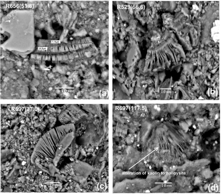 101 Kuva 66. Scanning electron microscopic images showing the most common morphologies of kaolin mineral in Virtasalmi Litmanen. (a) Books of kaolin. (b) Vermicular kaolinite.