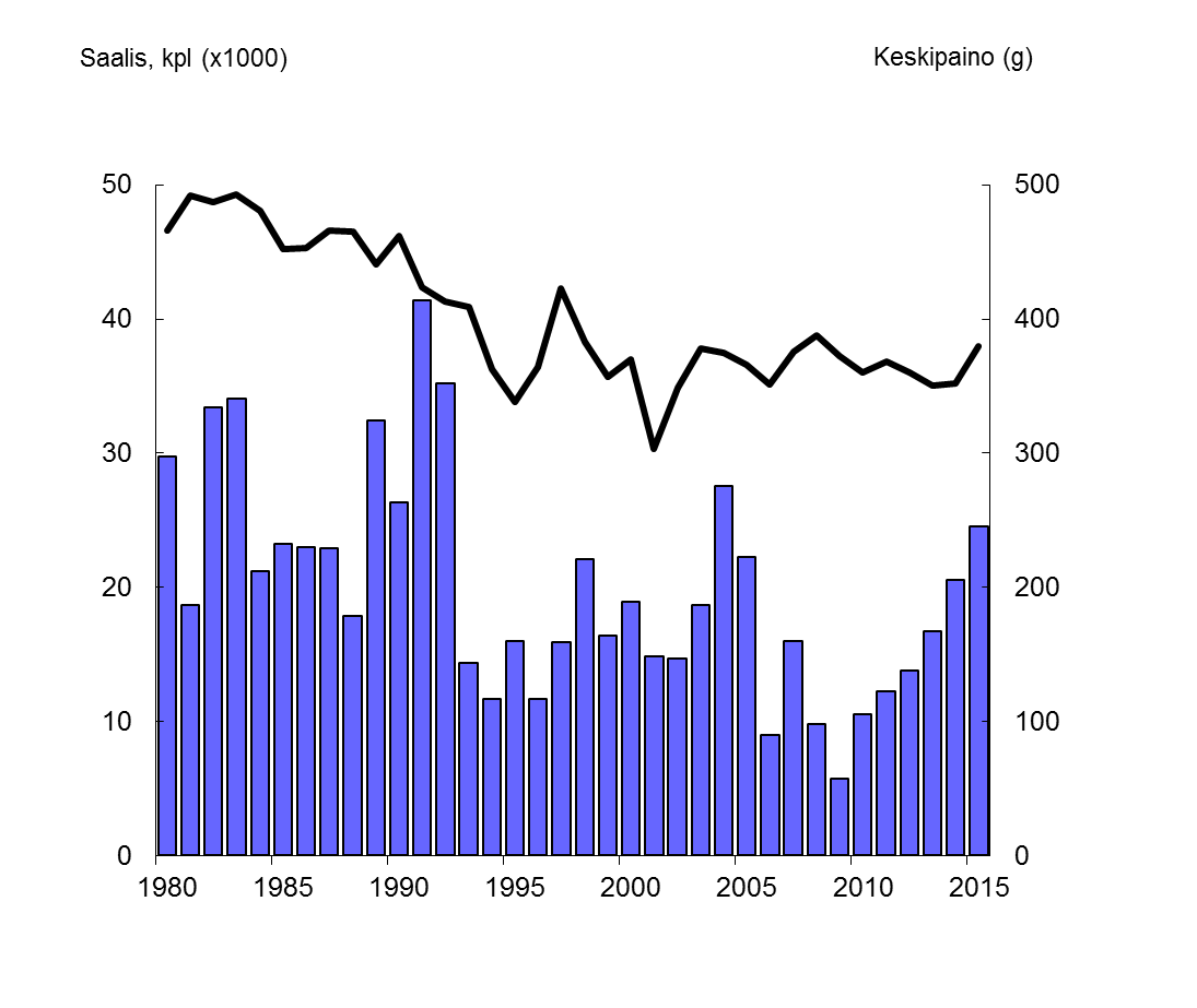 31 (39) Kuva 17. Ruotsalainen siikasaalis Tornionjoessa, 1965-2015. Saaliit on saatu pääosin lippoamalla (Kukkolankoskella ja Matkakoskella) sekä pienemmissä määrin kulkuverkoilla (Karungissa).