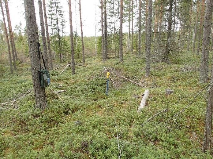 I: 3442 112 Tutkijat: Sijainti: Huomiot: Jussila & Tiainen 2015 inventointi Paikka sijaitsee Tyrnävän kirkosta 7,9 km kaakkoon.