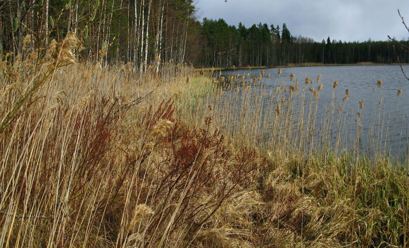 FCG SUUNNITTELU JA TEKNIIKKA OY Raportti 24 Kuva 17: Leppälammen