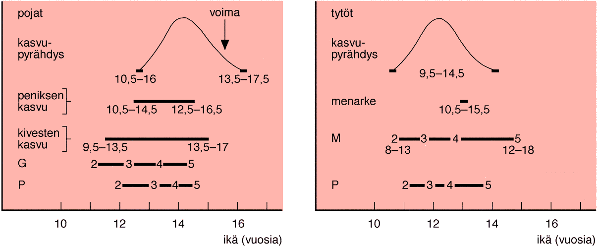 Tanner ja biologisen iän