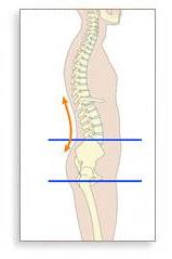 Selän kuormittuminen nostossa Neutraali alaselän asento Pyöristynyt alaselkä