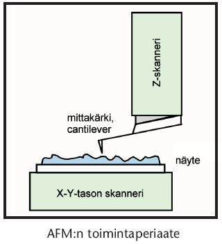 Mittakärki on kiinni taipuisassa palkissa (cantilever), joka taipuu mittakärjen ja kuvauskohteen atomien välisen heikon vetovoiman johdosta (non-contact mittaus).