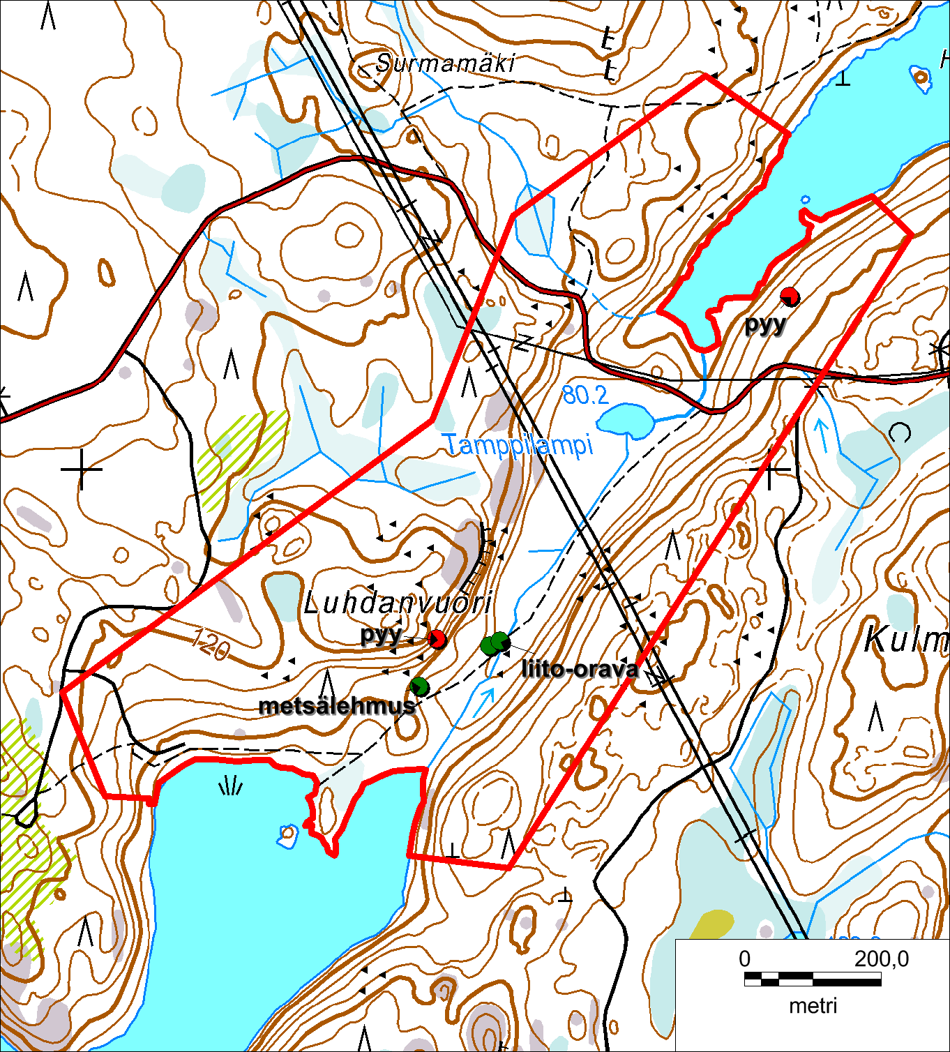 Selvitysalueelta ei löydetty uhanalaisia tai silmälläpidettäviä (Rassi ym. 2010) kasvilajeja. Muihin huomionarvoisiin lajeihin luettavan metsälehmuksen esiintymä merkitty kuvan 60 karttaan.