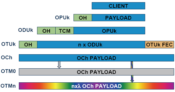 23 OMS OMS (Optical multiplex section) kuljettaa dataa regenerointipisteiden välillä. Optinen kanavointi-lohko sisältää hyötydatan lisäksi OH-tunnisteen OTS:n tapaan.