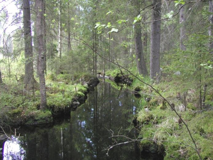 muutokset hydrologiassa, virtaaman lisääntyminen ravinteiden