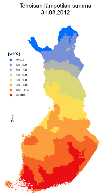 Jalostettua kuusensiementä saatiin taas talteen Markku Nygren KUUSEN TAIMITUOTANNOSSA on viime vuosina jouduttu turvautumaan metsikkösiemeneen, koska edellinen keräyskelpoinen sato