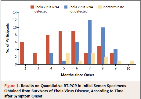 Ebola viruksen havaitseminen kuukausittain siemennesteestä