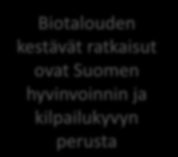 Strategiset päämäärät Toimeenpano ja seuranta Suomen biotalousstrategia 1.