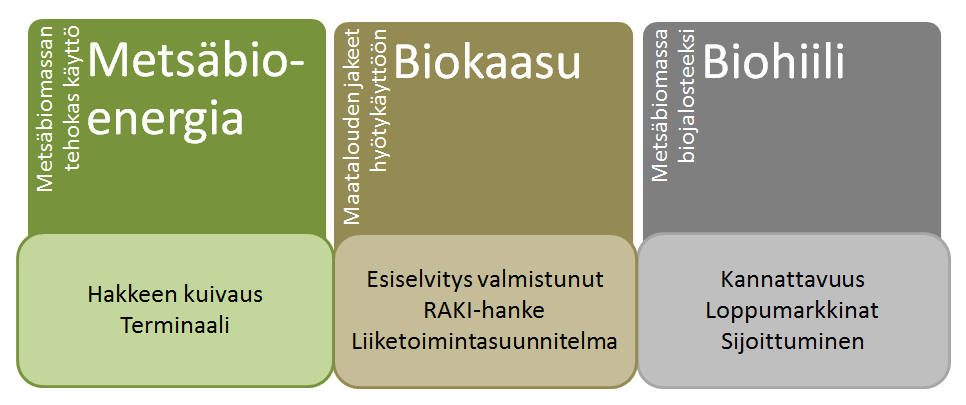 2 1 Johdanto Hankkeen tavoitteena oli edistää biotalouden kehittymistä Parikkalassa ja lähialueilla.