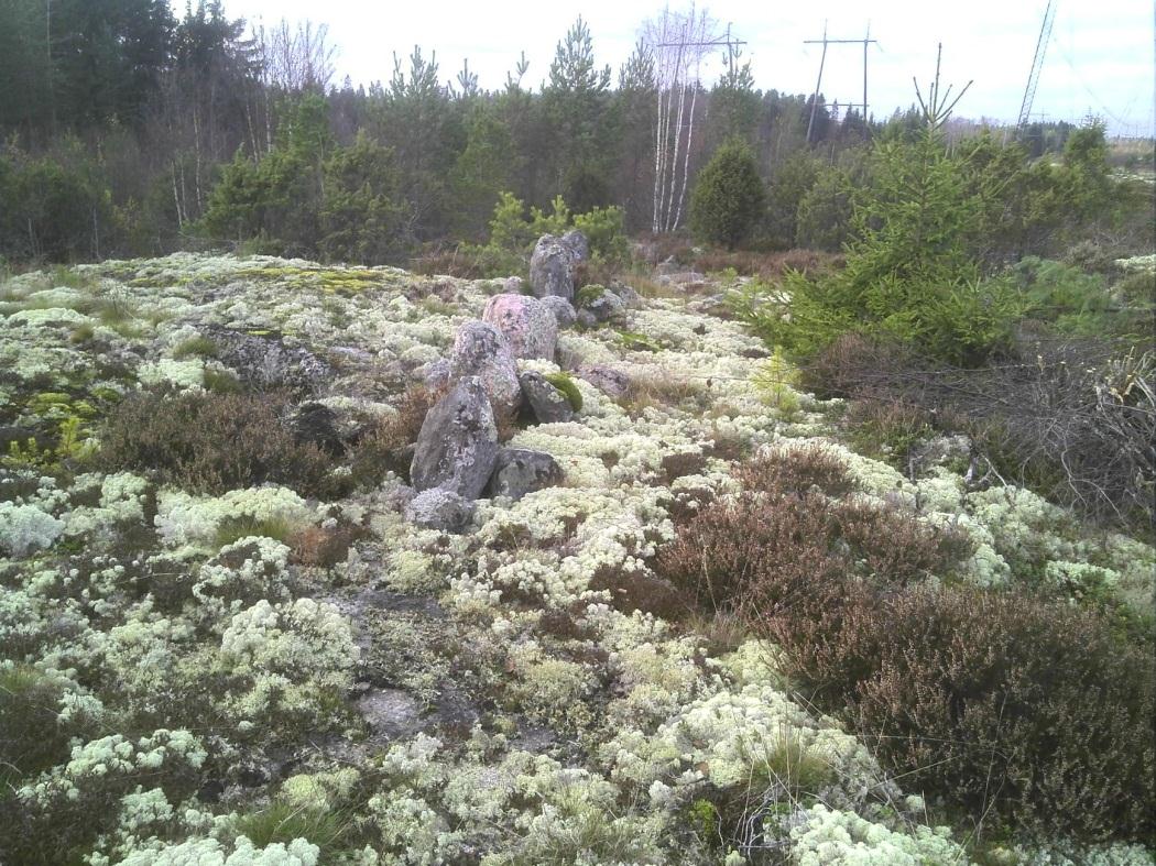 Kiviä on viisi jonossa kuuden metrin matkalla luoteeseen.