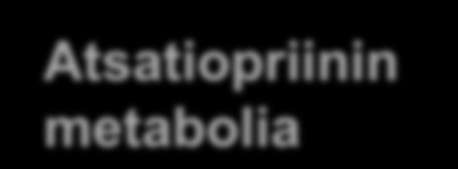 Atsatiopriinin metabolia 3 C O 2 S atsatiopriini TPMT = tiopuriini-s-metyylitransferaasi XO = ksantiinioksidaasi PRT = hypoksantiinifosforibosyylitrasferaasi IMPD =