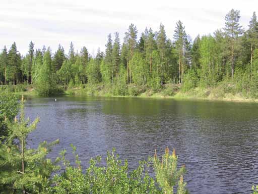 1014551 II lk, Ilmajoki ja Seinäjoki. Kuva 71.