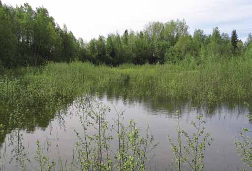I lk) ja 1014502 B (I lk), Ilmajoki. Kuva 67.