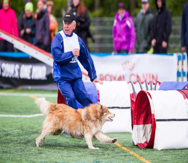 Mitä agilityon? Agility on ihmisen ja koiran yhteistyöhön perustuva liikuntamuoto, joka sopii kaiken ikäisille ihmisille. Koiran ja ohjaajan muodostamaa tiimiä kutsutaan koirakoksi.