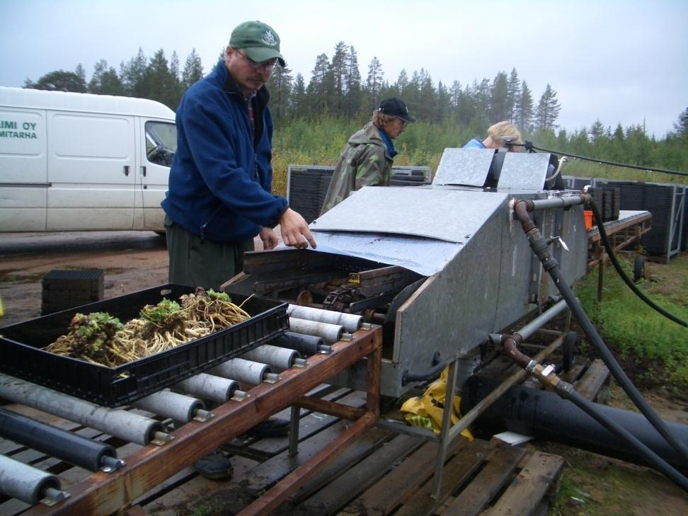 Juurien pesu betonimyllyssä ja