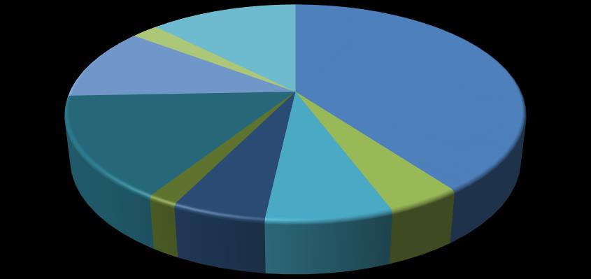 Suomen Luustoliitto ry:n hallituksen toimintakertomus 2015 Talous Luustoliiton yleisavusteisen toiminnan kuluista suurin osa on ollut henkilöstöön liittyviä kuluja (40 %), toiseksi suurin kuluerä oli