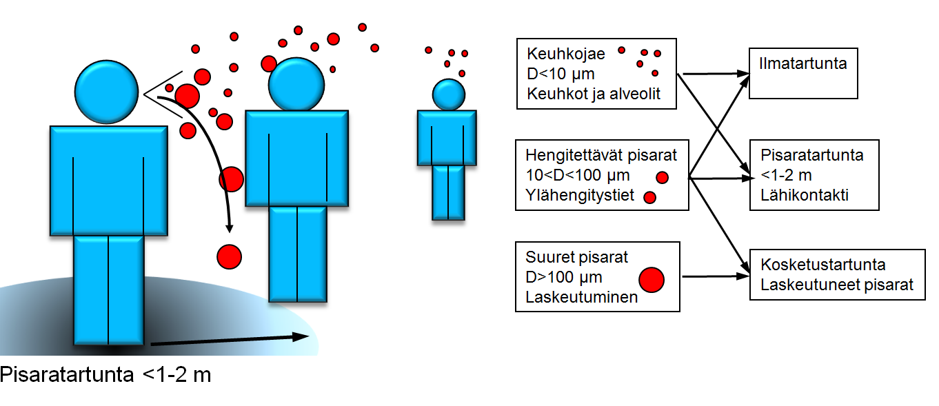 Hengitystiepisaroiden kulkeutuminen Lähde: Department of Health, The Influenza Pandemic Preparedness Team (2011) Routes of Transmission of the Influenza