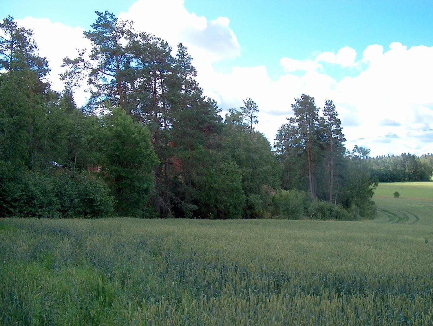 Ominaispiirre Plus Miinus Aiempi maankäyttöhistoria 1 Maalaji -1 Maaperän kosteustaso -1 Kivikkoinen / kallioinen Viettävyys -1 Avautumissuunta -1