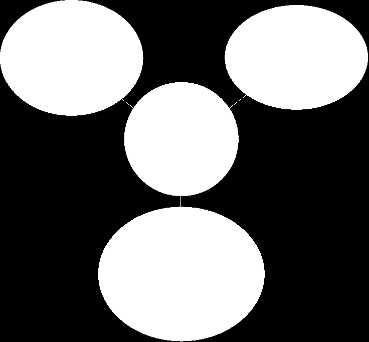 STRATEGIAN 2013-2016