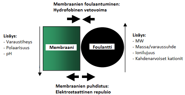 46 pesuliuoksella, jonka annetaan vaikuttaa järjestelmässä noin 30 60 min. Erillisenä osana tehtävässä pesussa membraani irrotetaan suodatinyksiköstä ja pestään erillisessä järjestelmässä.