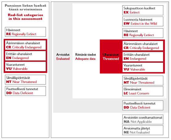 2. Uhanalaisuuden arvioiminen Kuva 1. Uhanalaisuuden alueellisessa arvioinnissa käytettävät IUCN:n luokat. Kuva: Rassi ym.