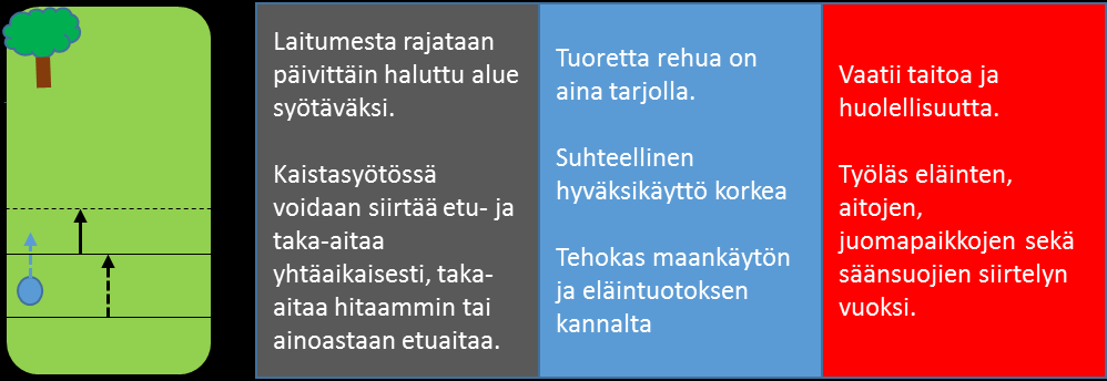 Kuvio 2. Lohkosyöttö, sen edut ja huomioitavat asiat. (Virkajärvi & Sairanen 2002, 28; Sormunen-Cristian ym. 2007, 66.) Kaistasyötössä (kuvio 3) laidunala jaetaan etu- ja taka-aidalla.