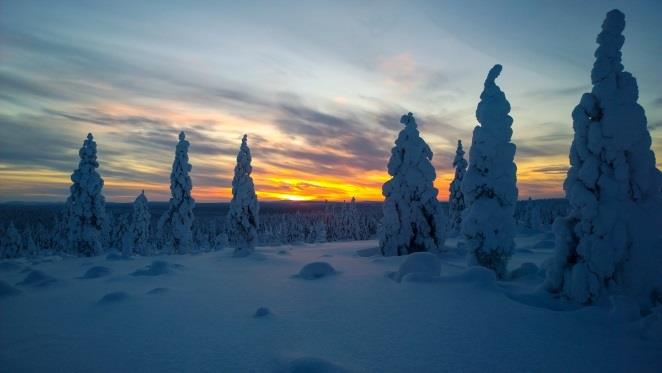 11.-17-6. 32. Suomi Meloo -kanoottiviesti melotaan 11.6. - 17.6.2016 reitillä Keuruu - Padasjoki. Kokkolan Ladun joukkue perinteisesti mukana melomassa. Tiedustelut Pentti Yli-Hukkala (0400) 568445.