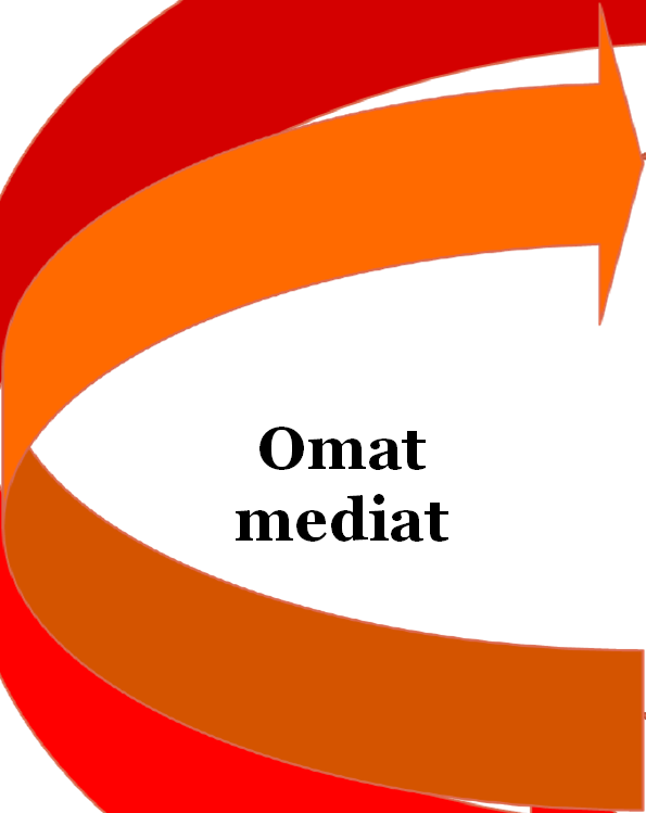 Omat mediat