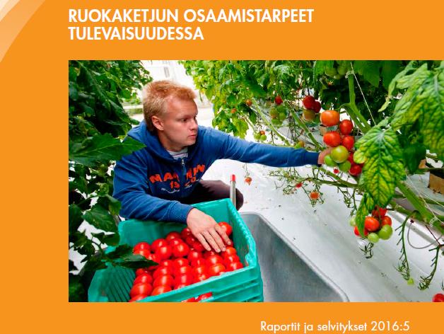 Osaamisen ja VISUAALINEN