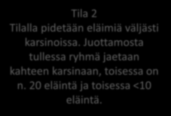 ELÄINTEN OLOSUHTEET Kokonaistila/eläin esimerkkitiloilla Tila 1 Pihatossa on jokaiselle lehmälle omat makuuparret, joihin ne mahtuvat hyvin makuulle.