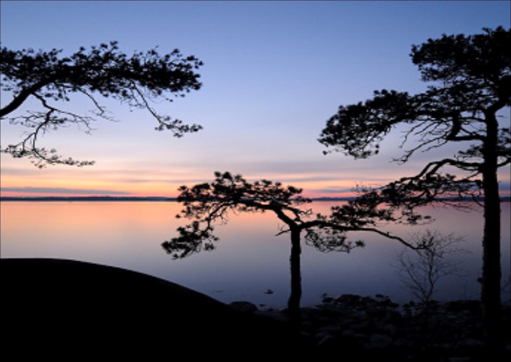 6. SOSIAALIPALVELUT Mitä on kysytty ja mitattu Tässä osiossa on kysytty kuntalaisten mielipiteitä koskien sosiaalipalveluita, kodinhoitoa ja vanhustenhuoltoa.