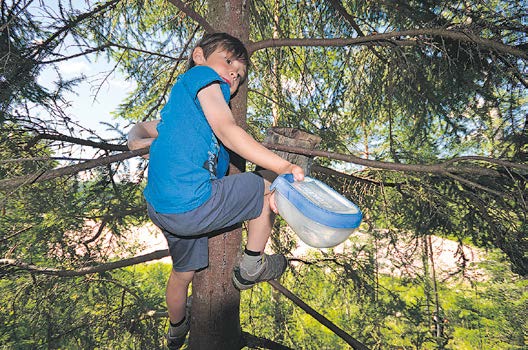 , ilmoita osallistujien määrä lapset /aikuiset sekä se, onko käytettävissänne gps-navigointilaite). Avoimet kylät on valtakunnallinen tapahtuma, missä Metsämaa on mukana.