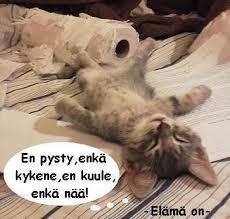 ottaminen omasta