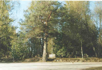 Kiuruveden kulttuuriympäristö ja sen hoito (8.8.2002) 98 Vainoniemi R1.