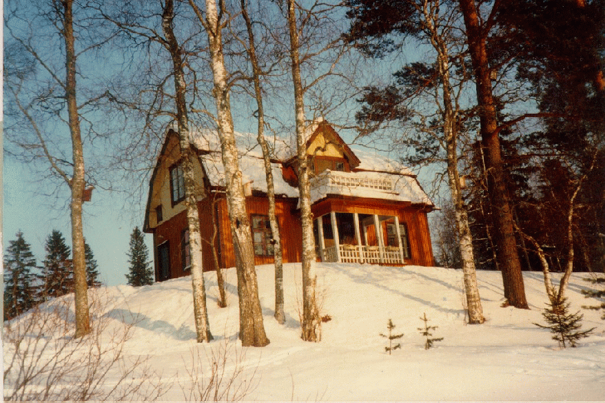 Kiuruveden kulttuuriympäristö ja sen hoito (8.8.2002) 95 Ortodoksinen kirkko R1.