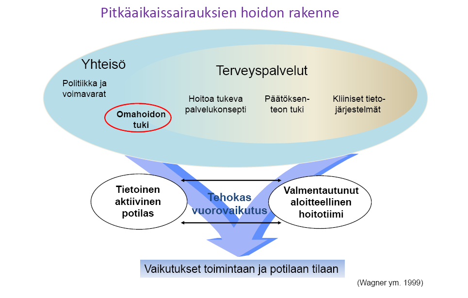 Toimiva hoitomalli pitkäaikaissairaiden hoitoon Saarelma O, Lommi