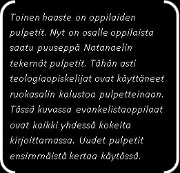 Naapurista karanneita helmikanoja, ankkoja ja kanoja. Kuin enteilevästi siellä kulkee myös komea kukko kanansa kanssa. Kuopivat maata yhteistuumin.