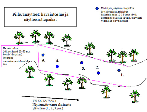 Kuva 1. Piilevänäytteenotto perusseurannan koskipaikoilta Näytteet toimitetaan alueellisesta ympäristökeskuksesta konsultille, jolta piilevänäytteiden käsittely ja määritys ostetaan.
