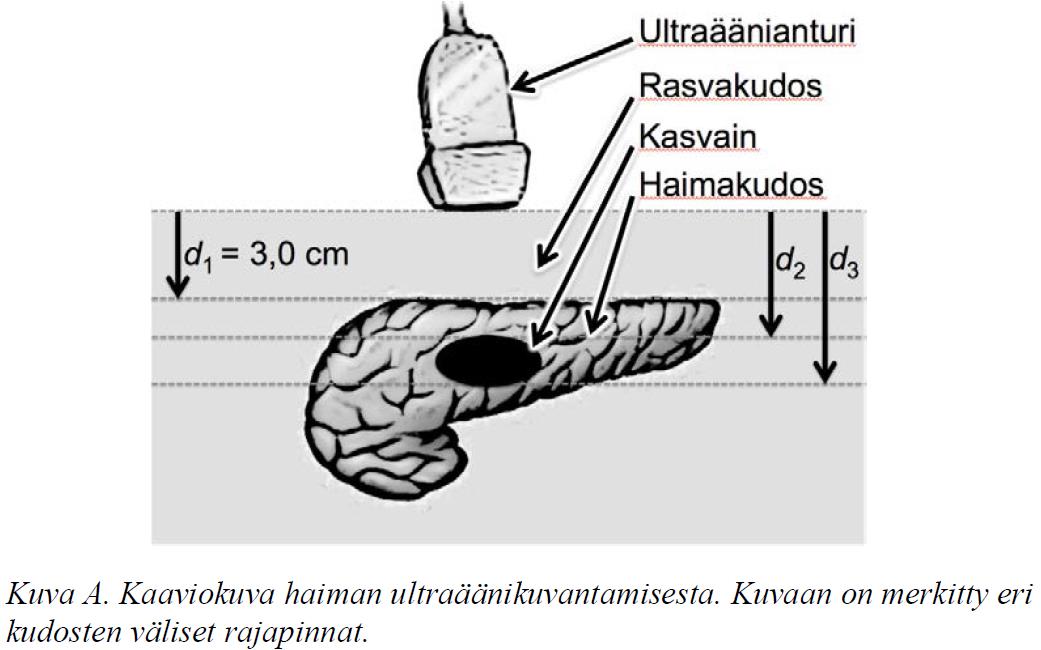 Tehtävä 3 a) Laske, kuinka syvällä kasvaimen yläpinta sijaitsee vatsan ihon pinnalta mitattuna.