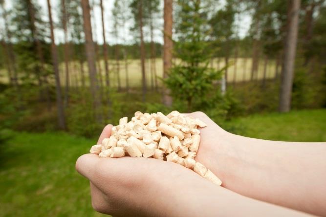 BIOPRODUCT INVESTMENTS IN KUUSAMO REGION Hankkeen tavoitteena on saada uusiutuvan energian lisäkäyttöön sekä biotuotteiden kehittämiseen ja valmistamiseen liittyviä investointeja ja saada uusia