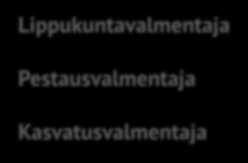 Kokonaisuus näyttäisi tältä: Lippukunta Aluetiimi Piiri Keskusjärjestö Lippukunnanjohtaja Pestijohtaja Ohjelmajohtaja Mentori Lippukuntavalmentaja Pestausvalmentaja Kasvatusvalmentaja Alueryhmä: