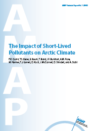 Arktisen neuvoston piirissä perustettiin kaksi SLCF ryhmää, ensimmäisenä fokuksenaan musta hiili Arctic Council Task Force on SLCFs AMAP:n SLCF asiantuntijaryhmä Arctic Council (est.